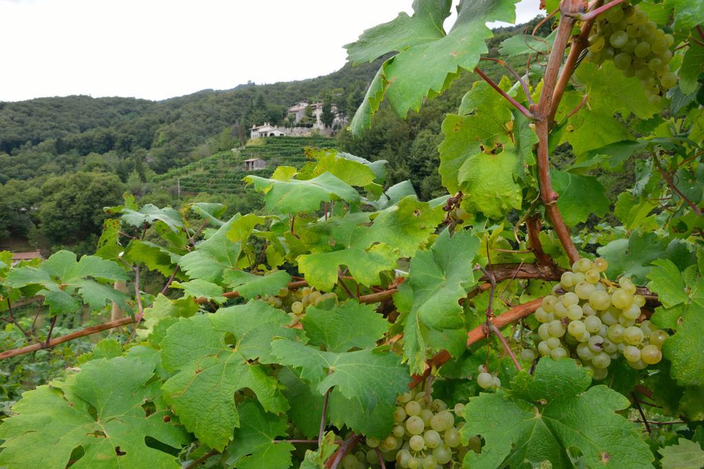 Agriturismo Crodi Miane Eksteriør billede